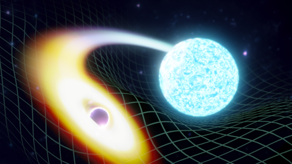 A colaboración LIGO-Virgo-KAGRA descobre as fusións esquivas de buracos negros con estrelas de neutróns